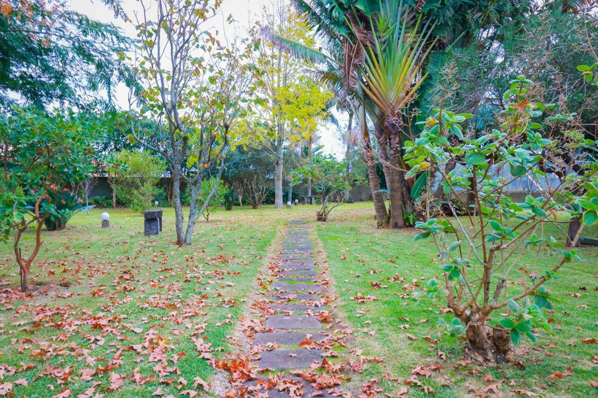 Casa Barao Das Laranjeiras Ponta Delgada  Exterior photo